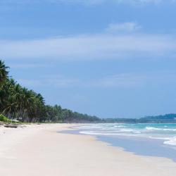 San Vicente 4 glamping sites