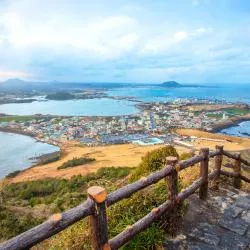 済州市