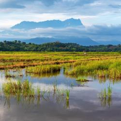 Kota Belud 25 hotels with parking
