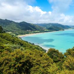 Opotiki 12 cottages