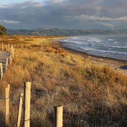 Waihi 4 glamping sites