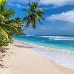 Mahibadhoo 5 hotels