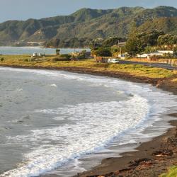 Te Kaha 6 cottages