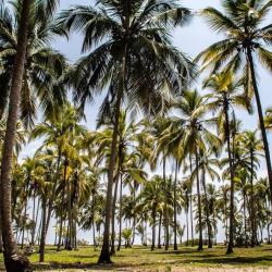 Guachaca 3 glamping sites