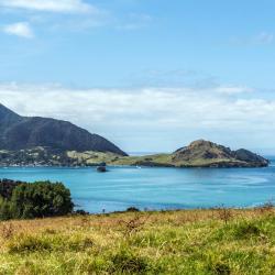 Whangarei Heads 16 hotels