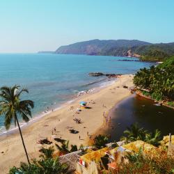 Cola 4 resorts