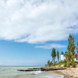 Honor 9 pet-friendly hotels