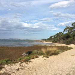 Venus Bay 27 pet-friendly hotels