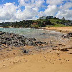 Coopers Beach 20 hotels