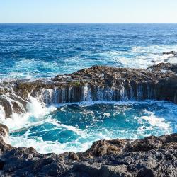 Cactus Host, Las Palmas de Gran Canaria (updated prices 2026)