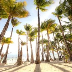 Roxas City 36 hotels