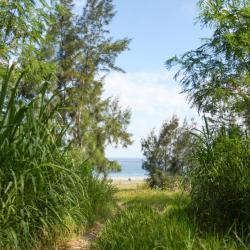 Shunan 12 hotels
