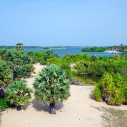 Batticaloa 13 of the villas