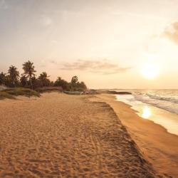 Kalpitiya 3 glampingpladser