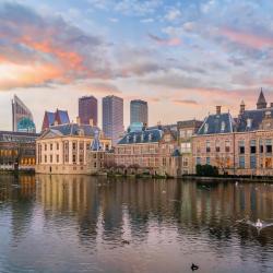 The Hague
