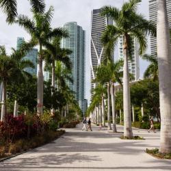 Miami 1357 hotels