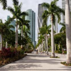 Miami