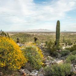 Casa Grande 19 cheap hotels