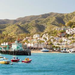 Avalon 3 4-star hotels