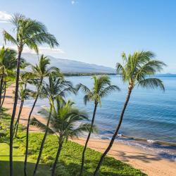 Kihei 809 hotelů