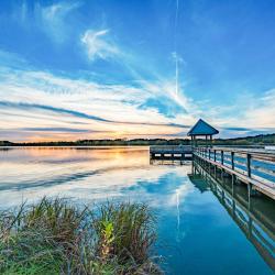 康瑟爾布拉夫斯