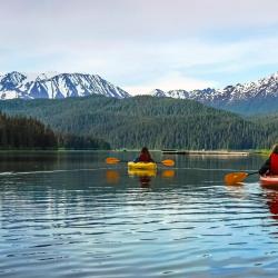Seward 67 hotels