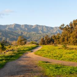 Carpinteria 36 hotels with parking