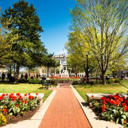 Bentonville 166 hotels