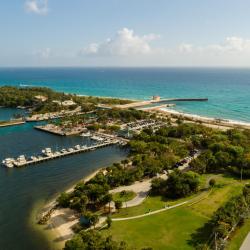 Boynton Beach 38 hoteles que aceptan mascotas