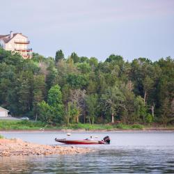 Rogers 88 hotelů