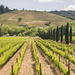 Healdsburg 57 hotels