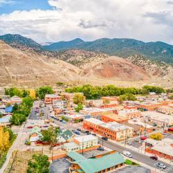 薩里達 4 間分租公寓