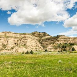 Minot 30 hotels