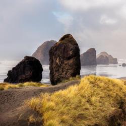 Gold Beach 50 hotels