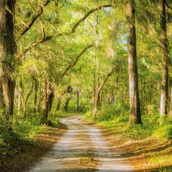 Walterboro 21 hotels