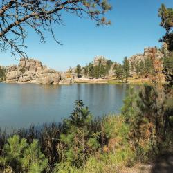 Custer 96 hotels