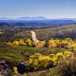 Payson 7 cabins