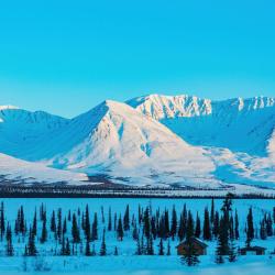 Fairbanks 176 hotelů