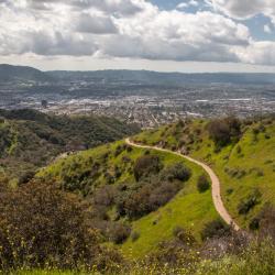 Burbank 56 hotels