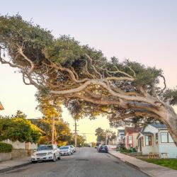 Pacific Grove 49 hotels