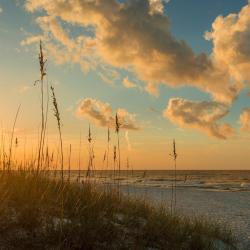 Navarre 301 vacation homes