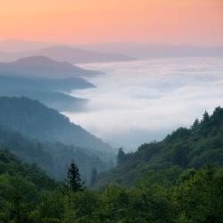 Blue Ridge 30 of the cabins