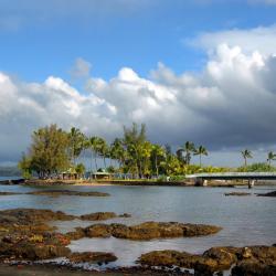 Hilo 12 B&Bs