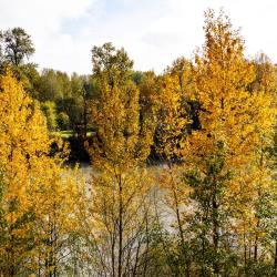 Corvallis 5 3-star hotels