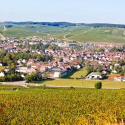 Chablis 3 aparthotely