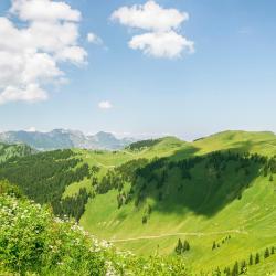 Châtel 88 cabins