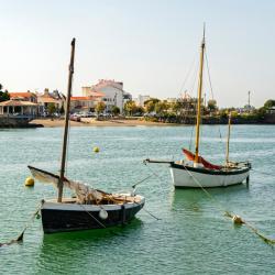 La Tranche-sur-Mer 8 campsites