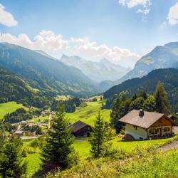 Le Grand-Bornand 81 cabins