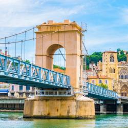 Vienne 7 of the homestays