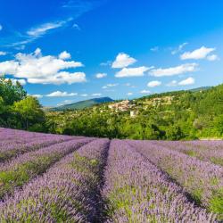 Carpentras 8 hot&eacute;is com spa